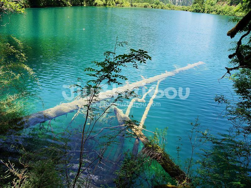 Jiuzhaigou Water