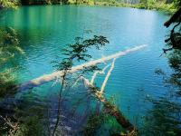 Jiuzhaigou Water