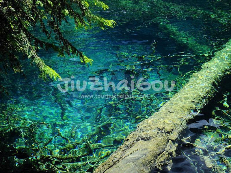 Jiuzhaigou Water
