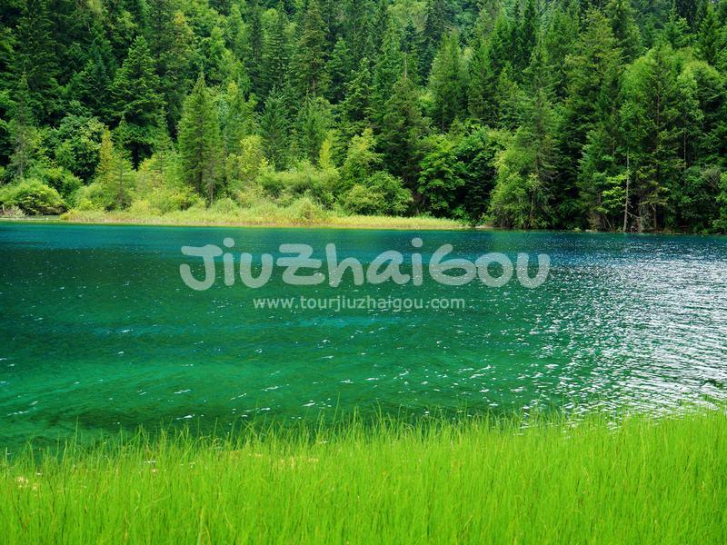 Jiuzhaigou Water