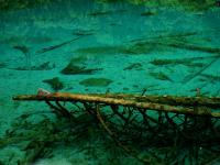 Water of Jiuzhaigou