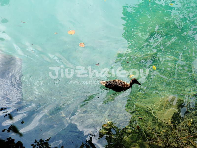 Jiuzhaigou Water