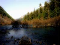 Jiuzhaigou Water