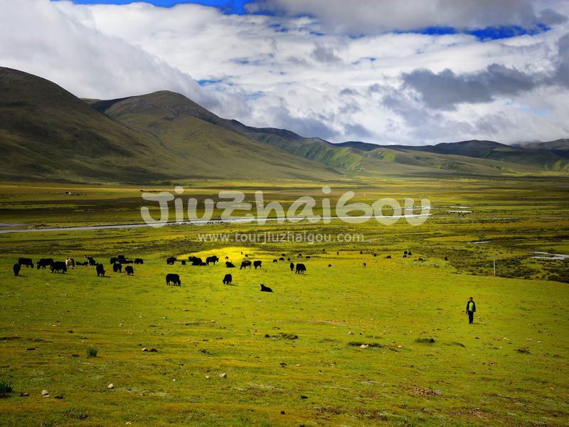 Maoya Grassland - Sichuan, China
