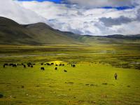 Maoya Grassland - Sichuan, China