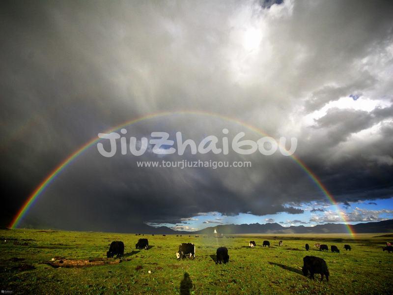 Maoya Grassland in Litang County, Sichuan