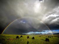 Maoya Grassland in Litang County, Sichuan