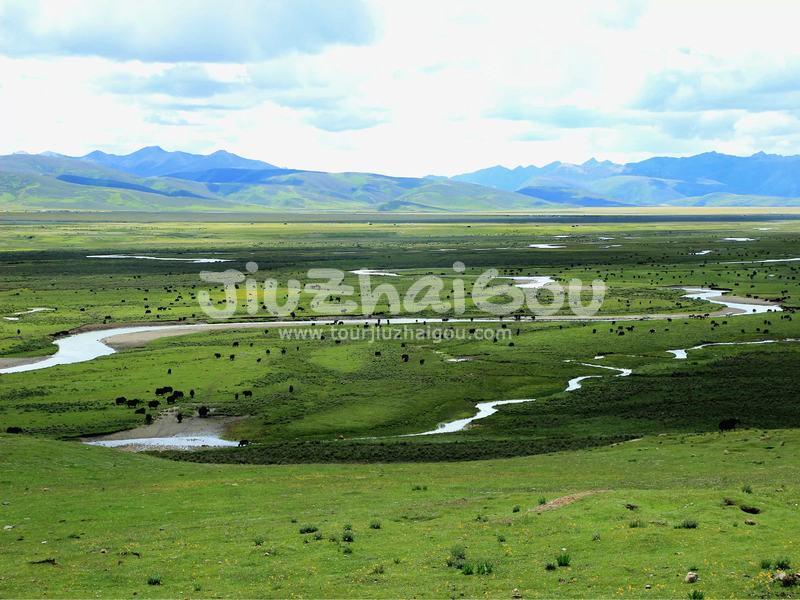 Maoya Grassland