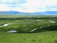 Maoya Grassland