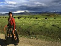 Maoya Grassland - Sichuan