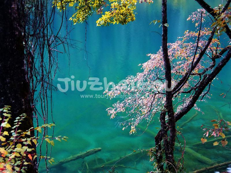 Mirror Lake