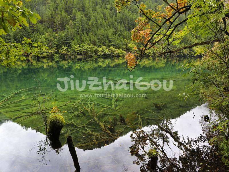 Mirror Lake