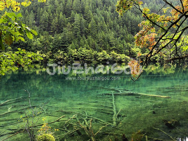 Mirror Lake