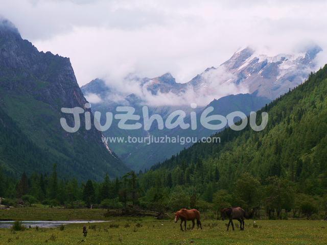 Summer in Mount Siguniang