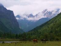 Summer in Mount Siguniang