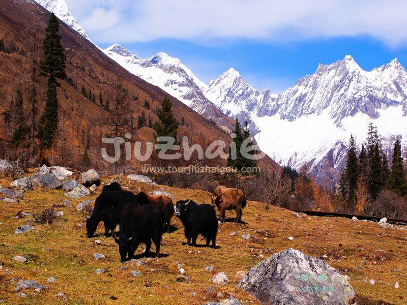 Shuangqiao Valley