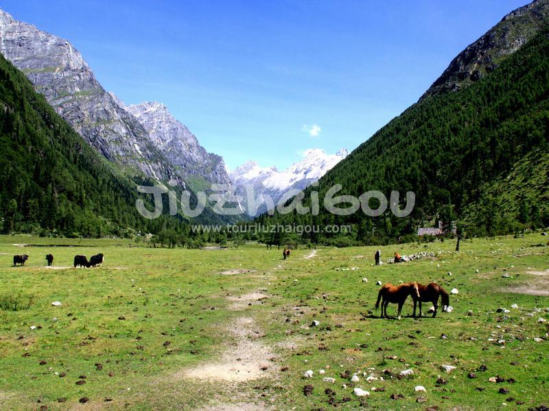 Changping Valley in Mount Siguniang