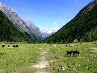 Changping Valley in Mount Siguniang