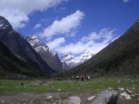 Mount Siguniang Changping Valley 