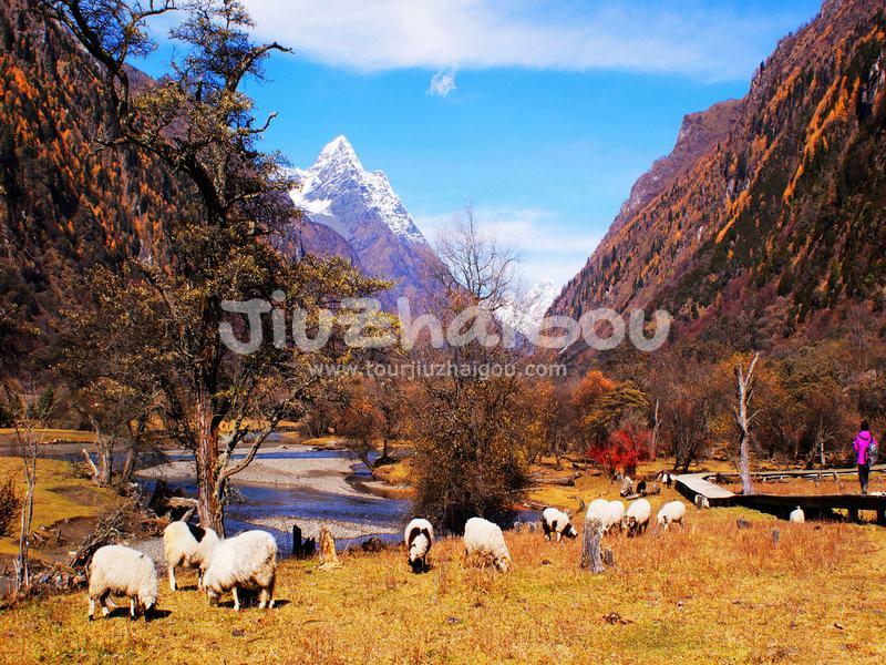 Shuangqiao Valley in Mount Siguniang