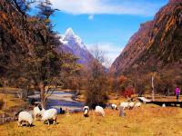 Shuangqiao Valley in Mount Siguniang