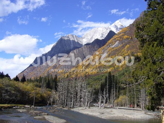 Colourful Fall