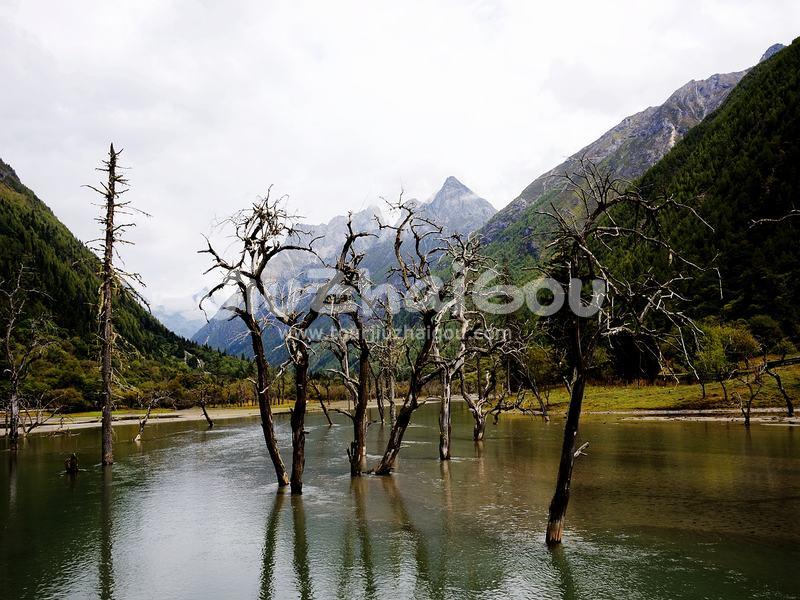 Shuangqiao Valley Mount Siguniang