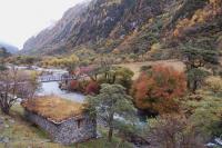 Autumn around Mount Siguniang