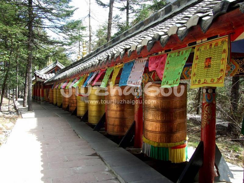 Mugecuo Scenic Area in Sichuan