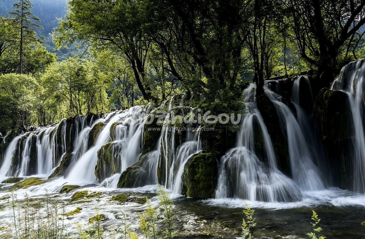 Panda Lake Waterfall - Jiuzhaigou