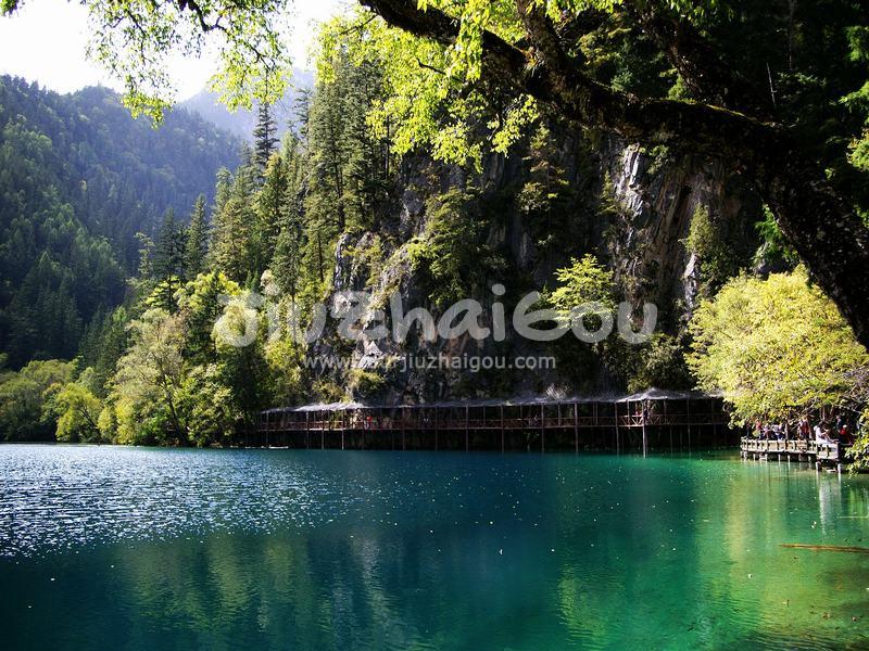 Panda Lake