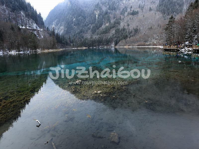 Panda Lake