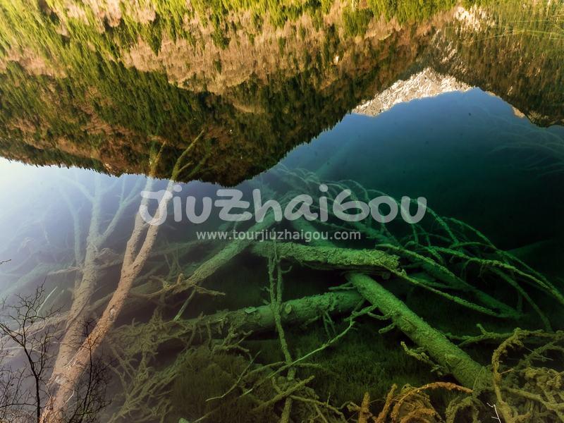 Panda Lake