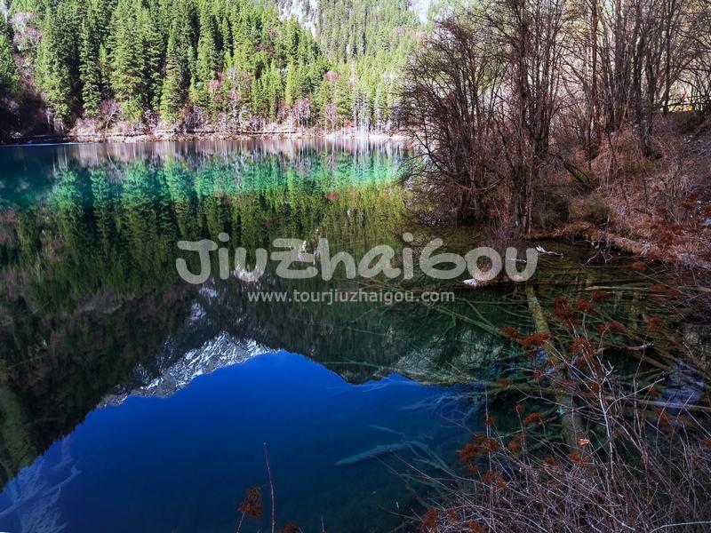 Panda Lake