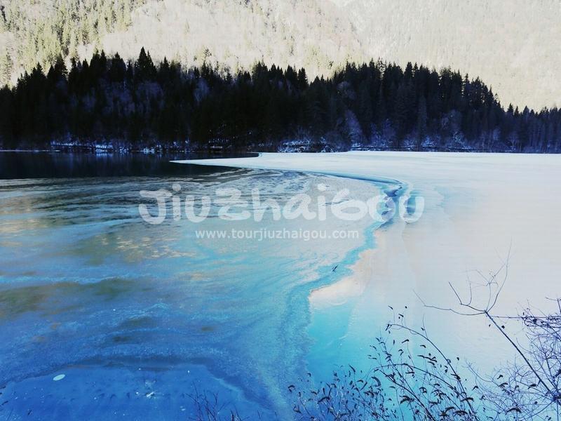 Panda Lake