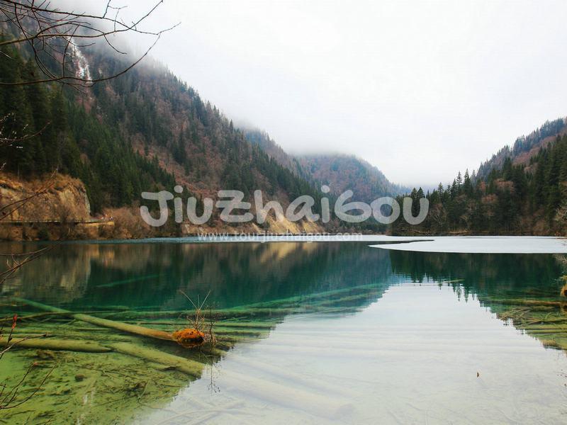 Panda Lake