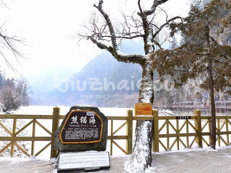 Jiuzhaigou Panda Lake in Snow