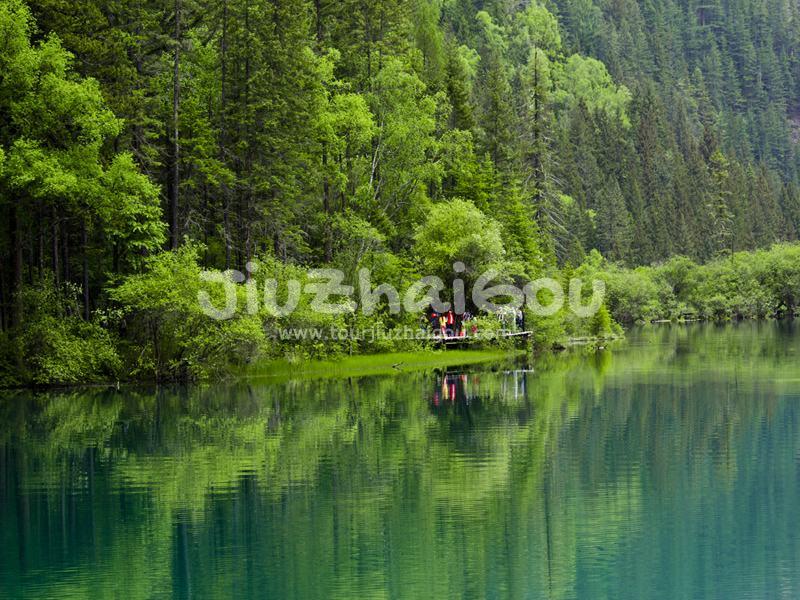 Panda Lake