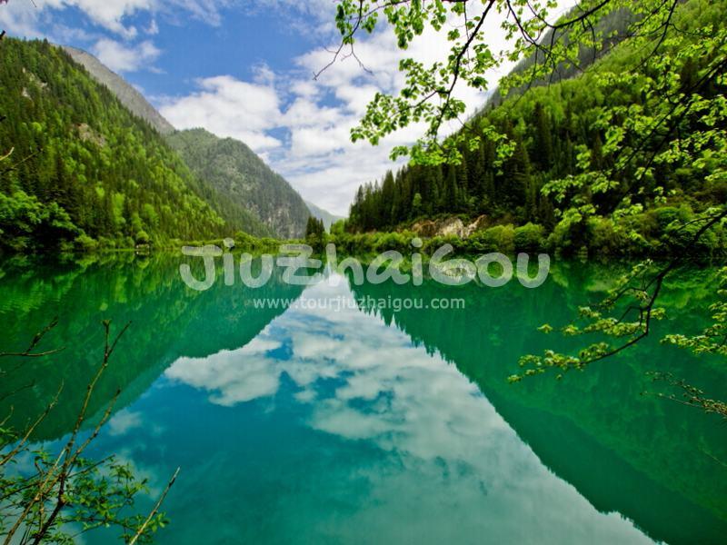 Panda Lake