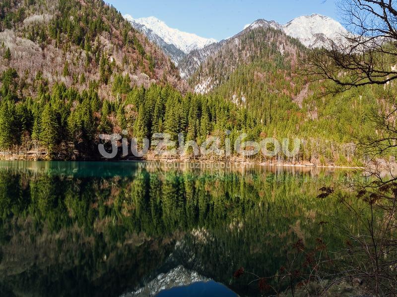 Panda Lake