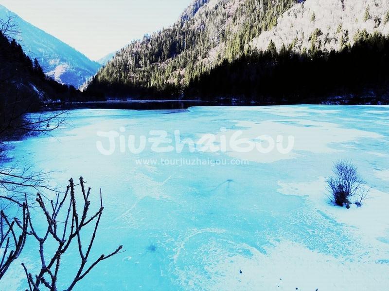 Panda Lake