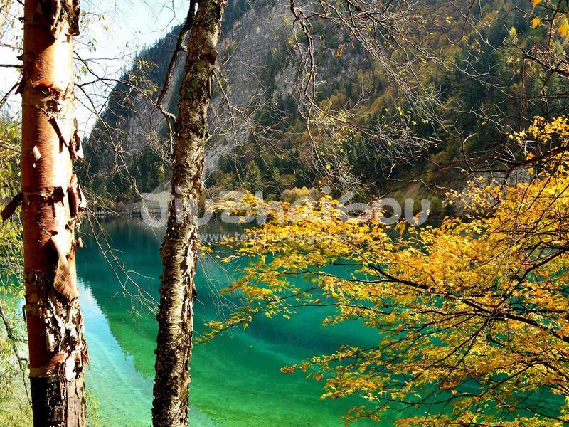 Panda Lake