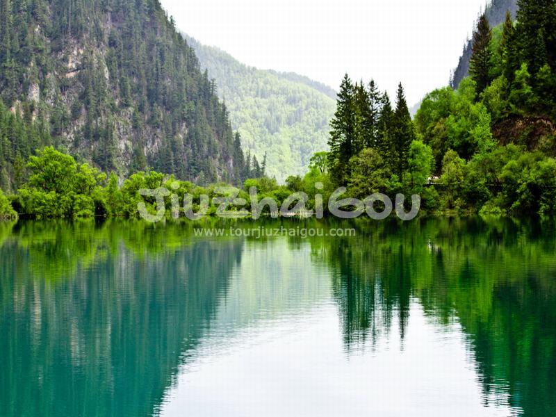 Panda Lake