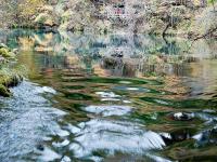 Peacock Riverbed - Jiuzhaigou National Park