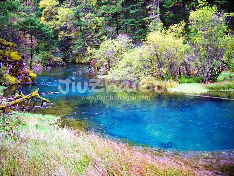 Peacock River