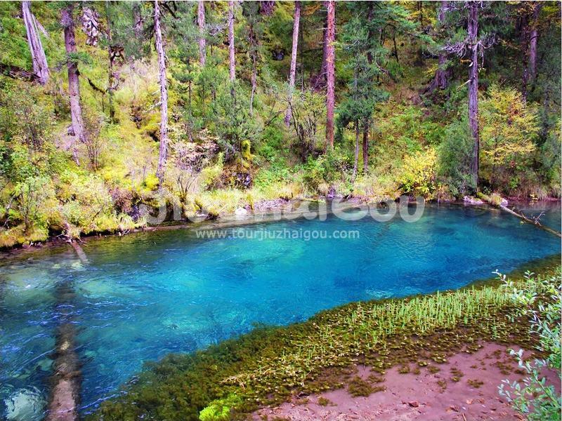 Peacock River