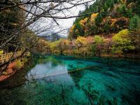 Peacock River Jiuzhaigou