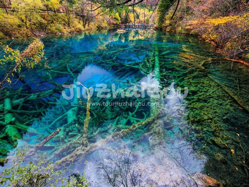Peacock River Jiuzhaigou Valley