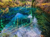 Peacock River Jiuzhaigou Valley