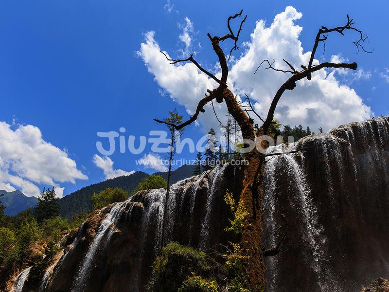 Pearl Shoal Waterfall